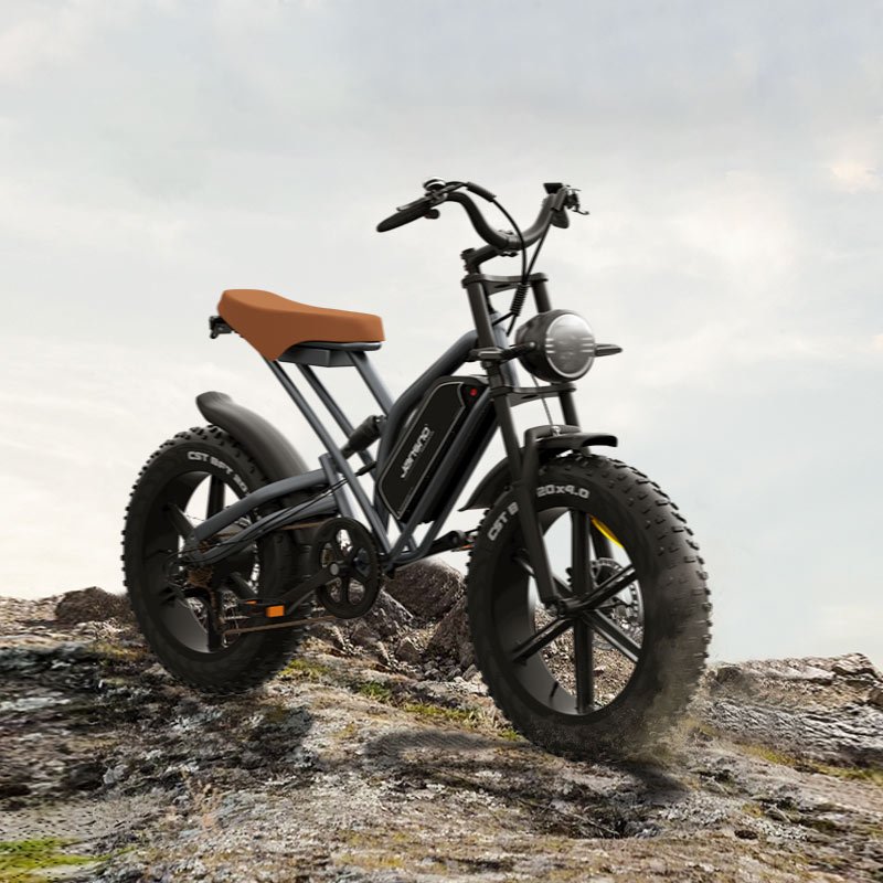 1000W Adult Mountain Bike 20 Inch Snow Electronic eBike 48V Bicycle 4.0 Fat Tire e bike Strong Ebike