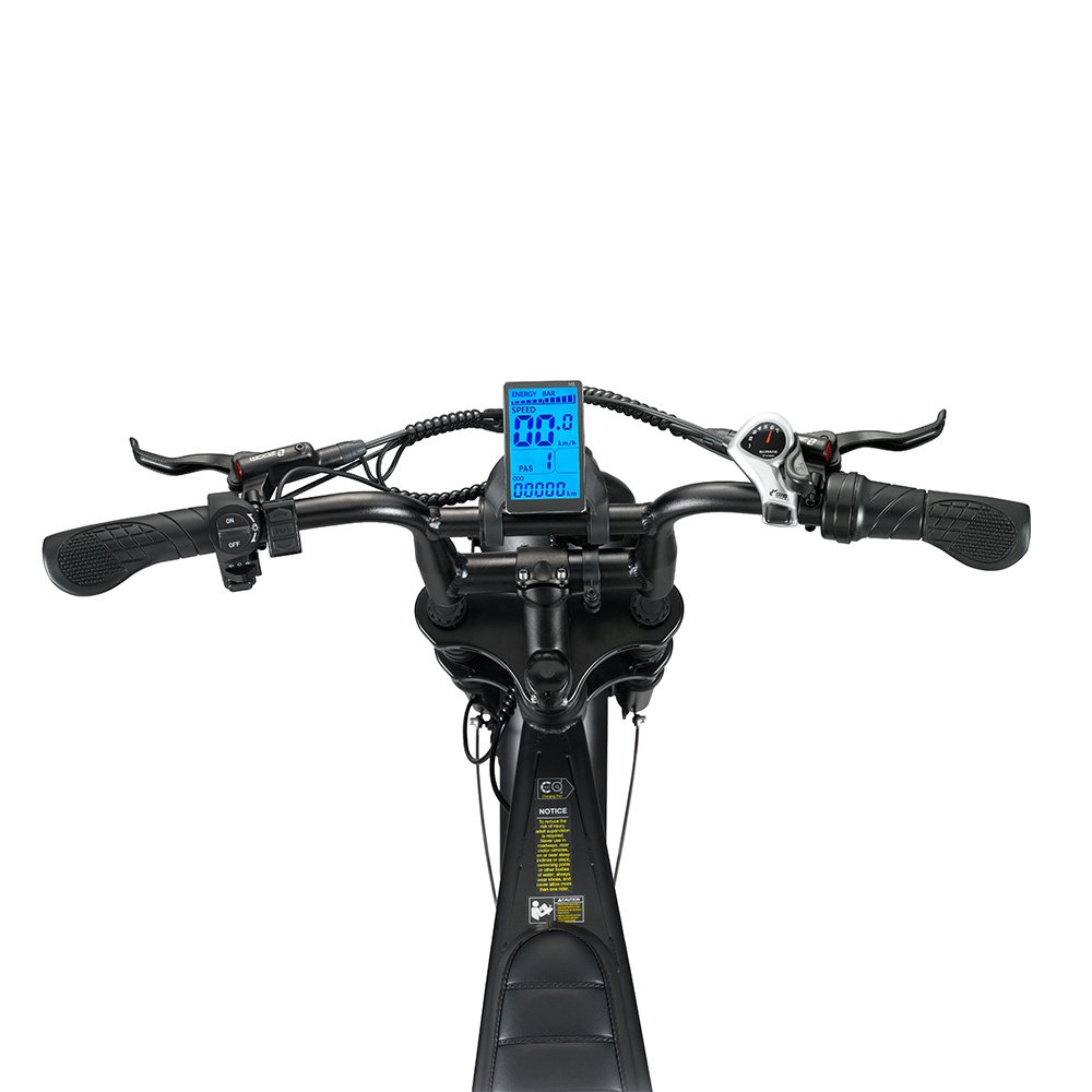 New Design Fat Tire Electric Mountain Bike Ruihe V8 20 Inch Ebike Kit 1000w