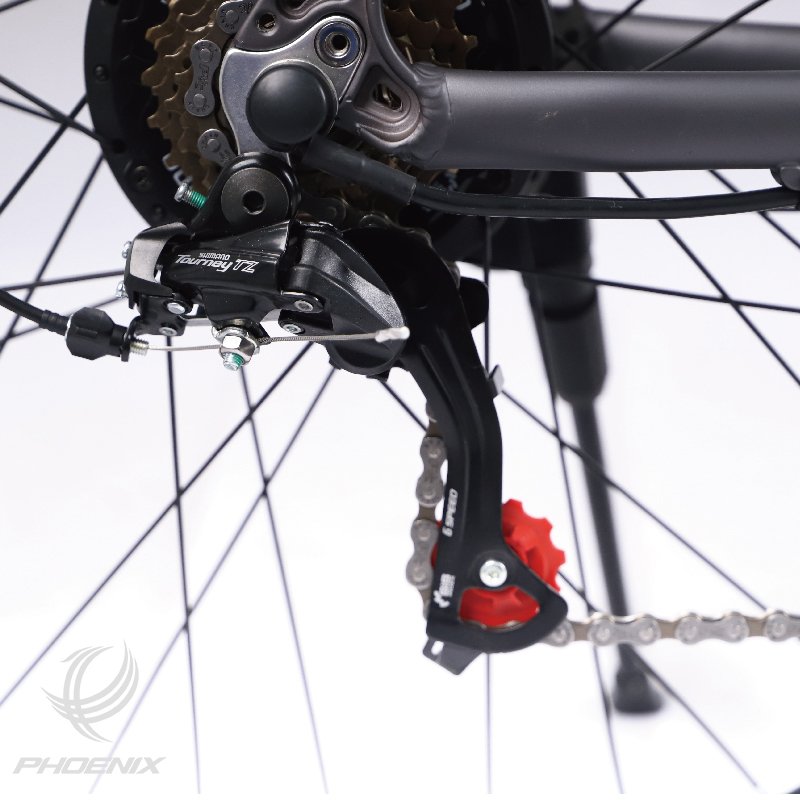 Phoenix Aluminum Alloy Electric Bicycle Motor Kit Electric Bicycle 36v10.4ah Electric Mountain Bike