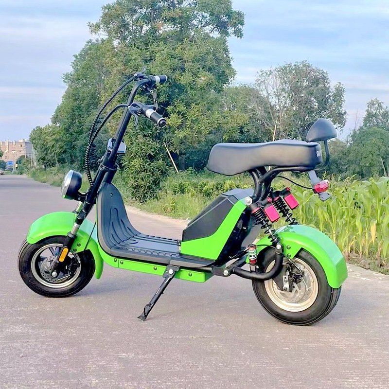 Detachable 48V Double-Pole Electric Motorcycle with Central Motor and Integrated Battery Rechargeable Electric Bike