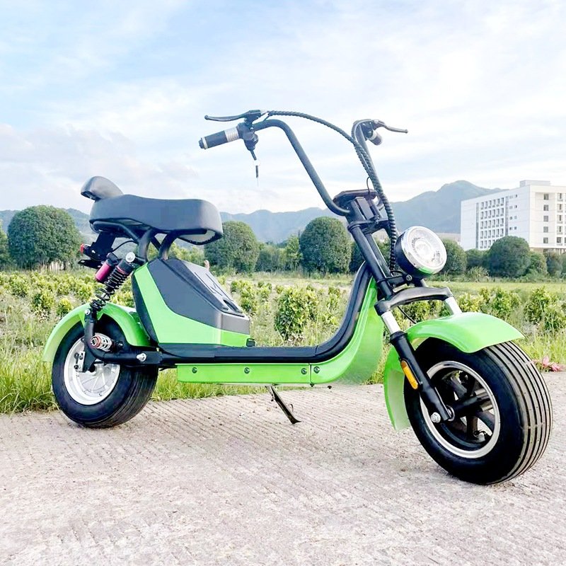 Detachable 48V Double-Pole Electric Motorcycle with Central Motor and Integrated Battery Rechargeable Electric Bike