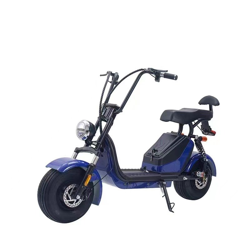 Detachable 48V Double-Pole Electric Motorcycle with Central Motor and Integrated Battery Rechargeable Electric Bike