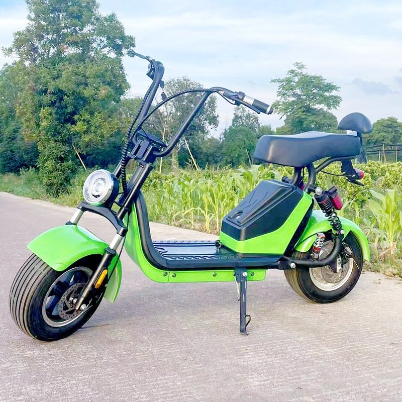 Detachable 48V Double-Pole Electric Motorcycle with Central Motor and Integrated Battery Rechargeable Electric Bike