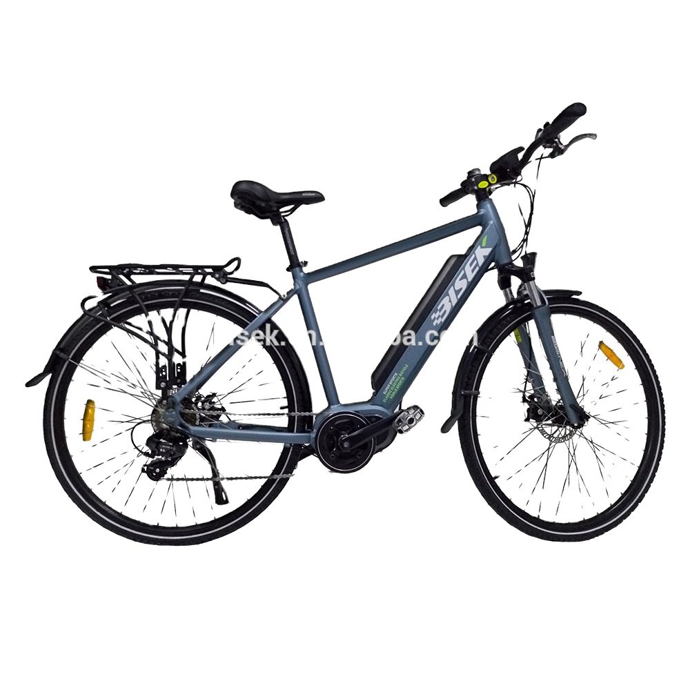 Torque sensor 700 CC ebike with mid drive motor electric bike bicycle