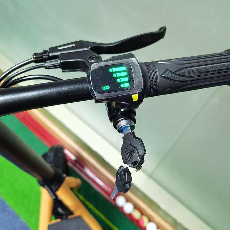 Hot Selling 14inch Electric Bicycle Electric Bike Electric City Bike for Outdoor Aluminium City Bike