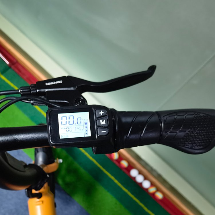Hot Selling 14inch Electric Bicycle Electric Bike Electric City Bike for Outdoor Aluminium City Bike