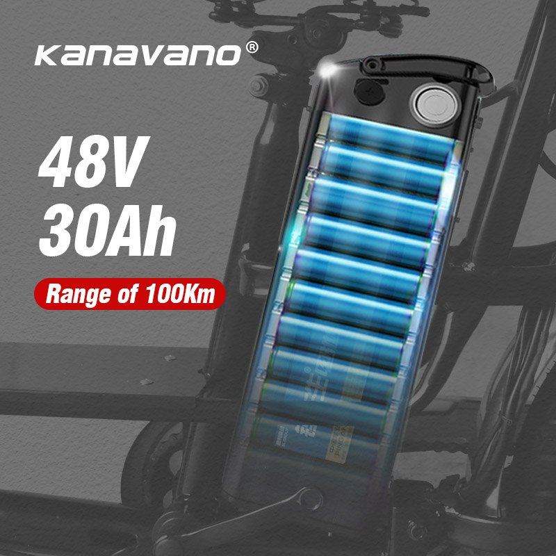 48v electric Cargo bike 2 Wheel Food Delivery electric bike 16 Inch Wide Tire Electric Moped
