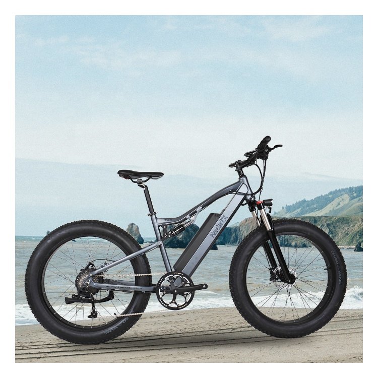 OEM wholesale Alloy Frame Electric Mountain Bike/High Quality 26inch Electric Mountain Bicycle/Women Men Ebike