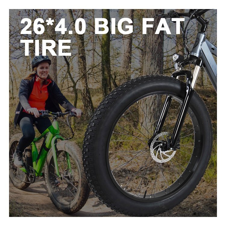 OEM wholesale Alloy Frame Electric Mountain Bike/High Quality 26inch Electric Mountain Bicycle/Women Men Ebike