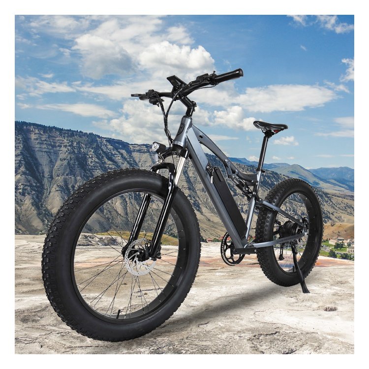 OEM wholesale Alloy Frame Electric Mountain Bike/High Quality 26inch Electric Mountain Bicycle/Women Men Ebike
