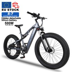 500W