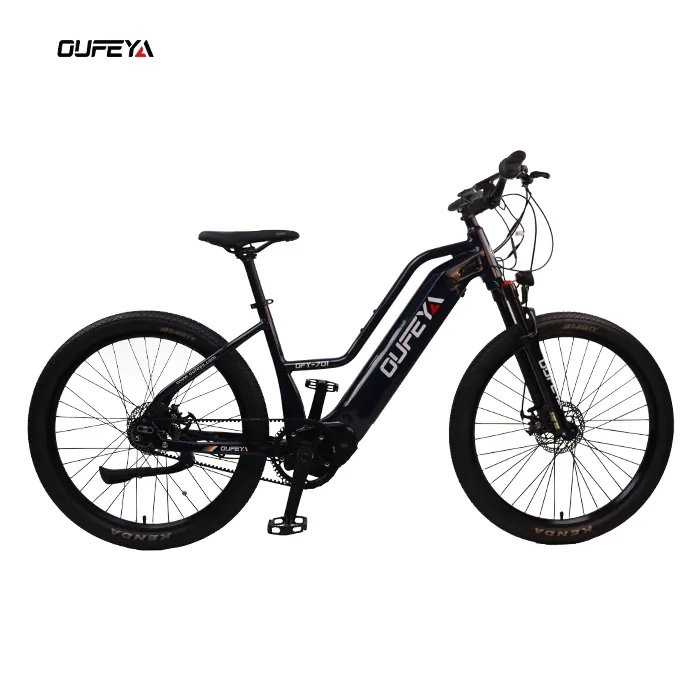 2023 China manufacturer Belt Drive System factory spot product electric bicycle electric mountain bike import electric bike