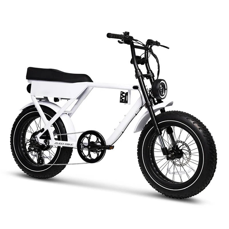 Factory Stock 7 Speed Fat Tire Electric Bike Men Ebike Customized All Terrain Bicycle City E Bike With High Quality