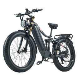 Dual Motor 750W+1000W