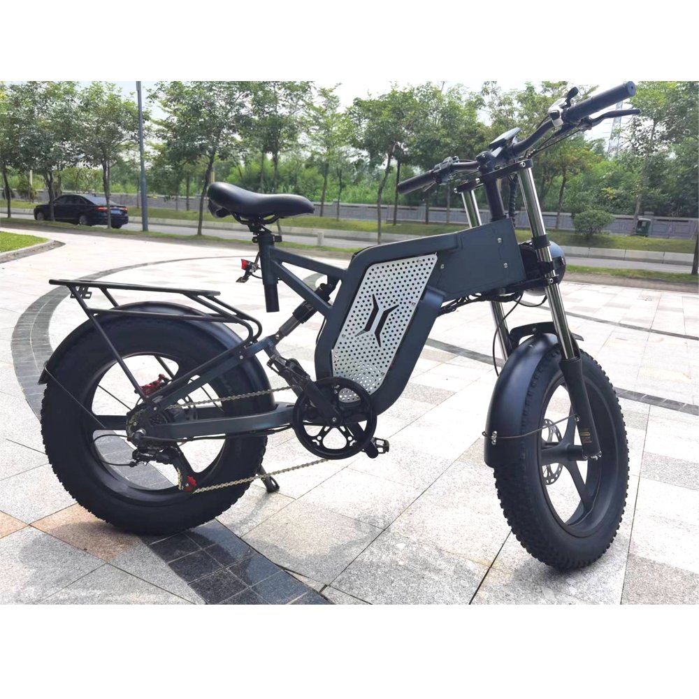 EU USA warehouse 48v 2000W 1000 W 55 km/h X20 aluminum frame lithium battery rear hub motor electric mountain bike
