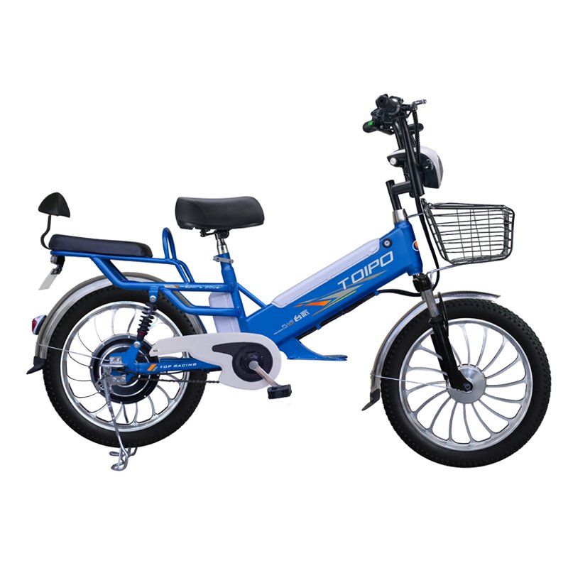 Li-battery smart big 20inch cheap adult e-bike for sale adult city snow electric bike