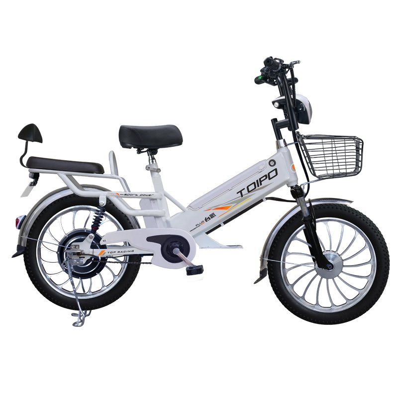 Li-battery smart big 20inch cheap adult e-bike for sale adult city snow electric bike