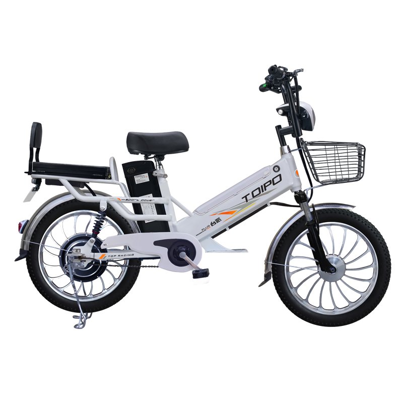 Li-battery smart big 20inch cheap adult e-bike for sale adult city snow electric bike