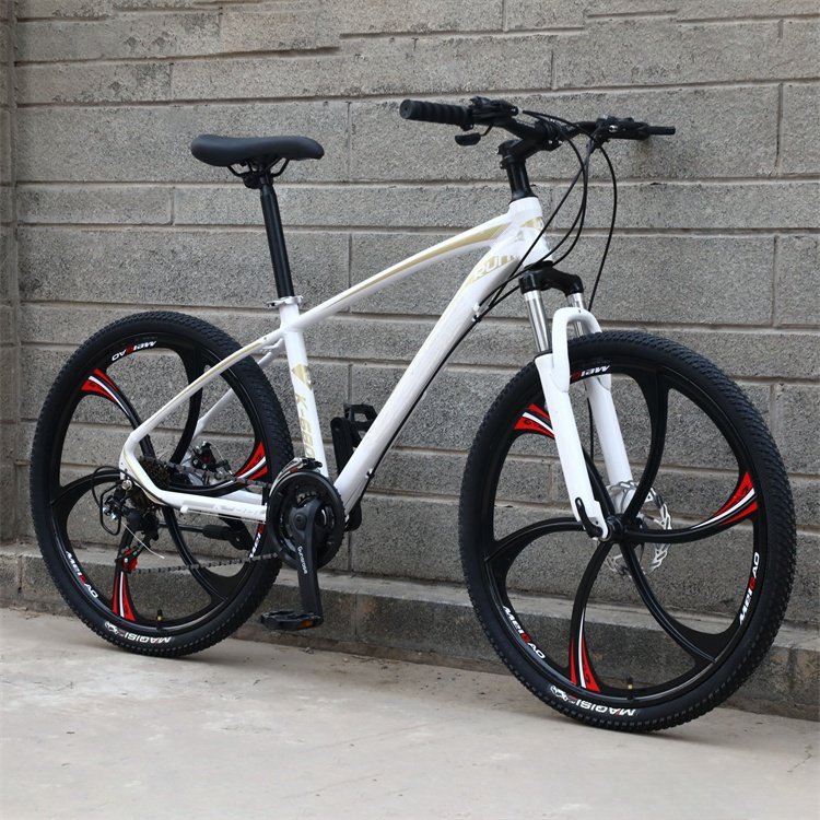 2024 NEW SENYI 29 inch 21 speed aluminum alloy adult mountain bike