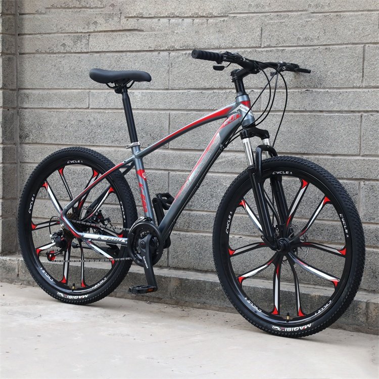 2024 NEW SENYI 29 inch 21 speed aluminum alloy adult mountain bike