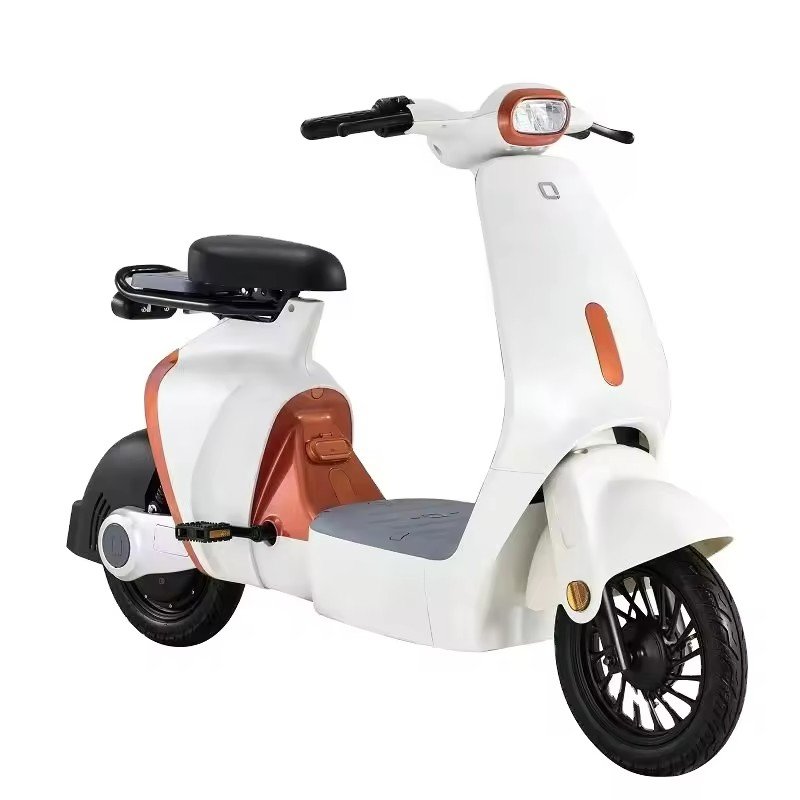 500W all-purpose electric bicycle for men and women