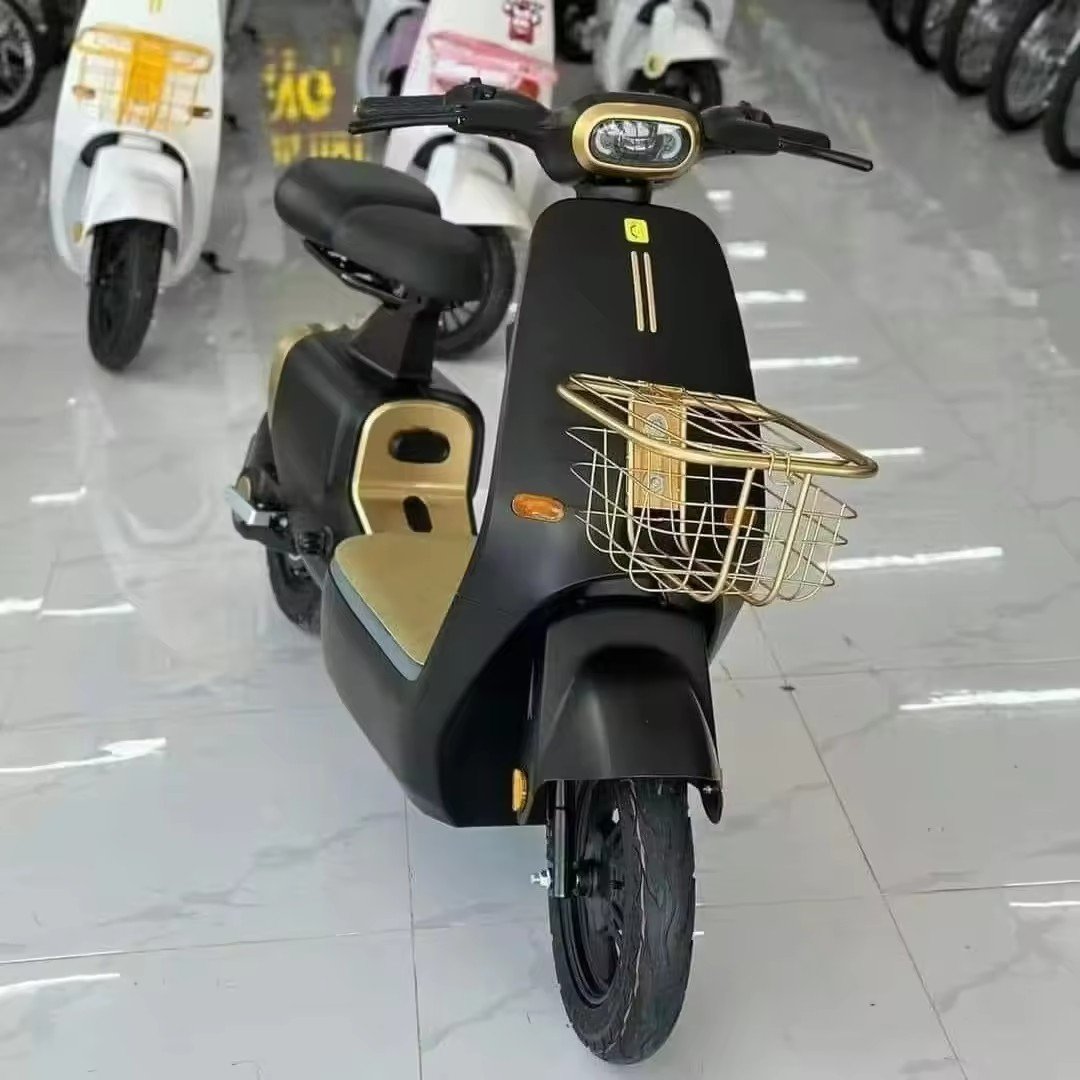 500W all-purpose electric bicycle for men and women