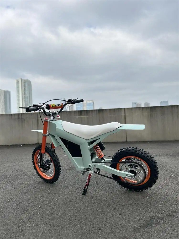 Kugoo 2024 New Design Wish01 Electric Mountain Bike with 1500W 16AH lithium battery