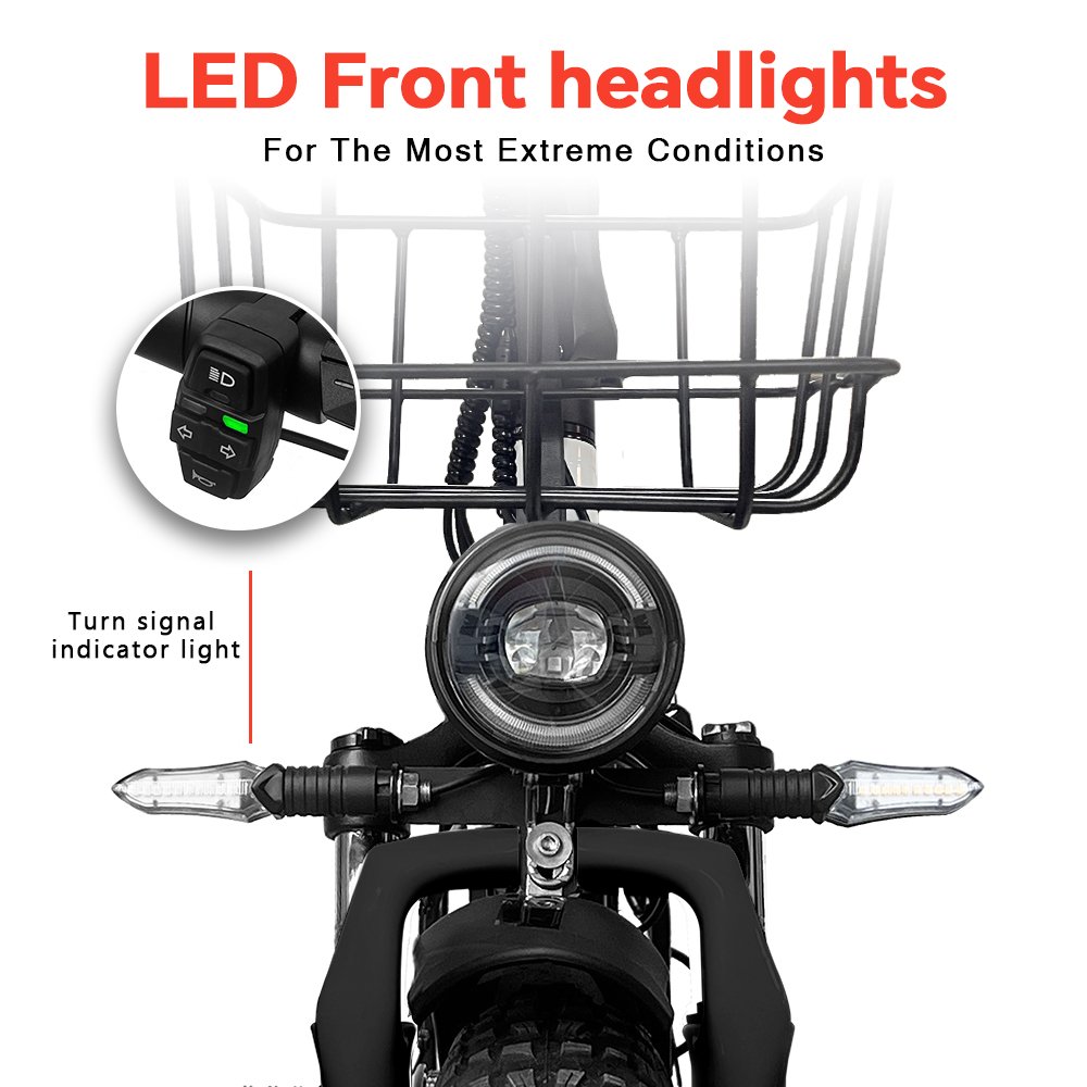 EU Stock 48V Electric Fat Tire Bike 20 Inch 750W Electric City Bike Road E-Bike Electric Folding Bike For Adults