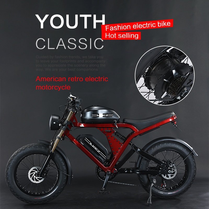 New 48v 52V 1500w Retro E-Bike Electric Cycle Road Dirt Fat Tire E Bike Fast Ebike Electric Mountain Bike