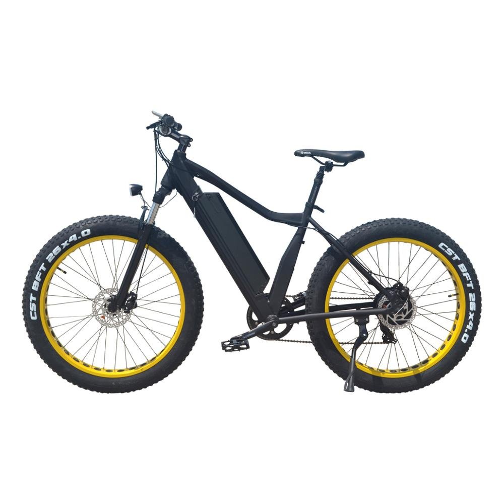 VTUVIA 250W 750W 36V 48V Fat tire mountain electric bike 26inch electric bicycle customized ebike from china manufacturer
