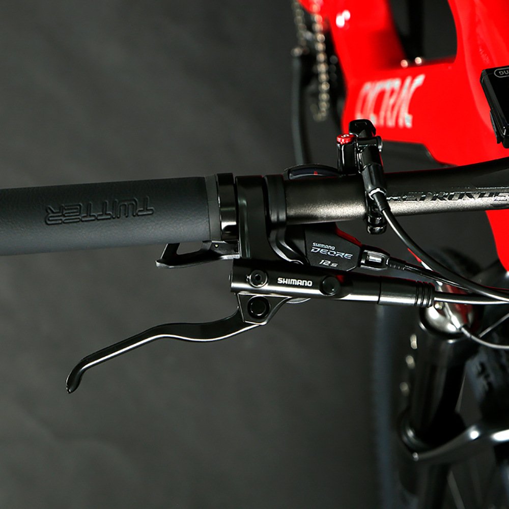 Carbon Electric Bike Bafang M510 Mid Motor 250W Mountain Bicycle 29 inch eMTB with Hidden Battery For Men