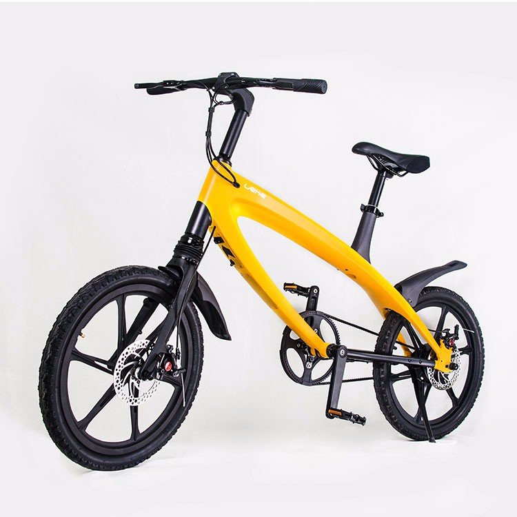 New model importer China electronic gears e bike electrical bicycle