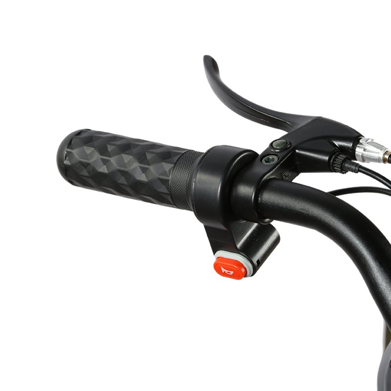 14inch Factory Wholesale Electric Bicycle 350w 48v Adult Electric City Bike Lead-Acid Battery Two-Wheeled Electric bicycle