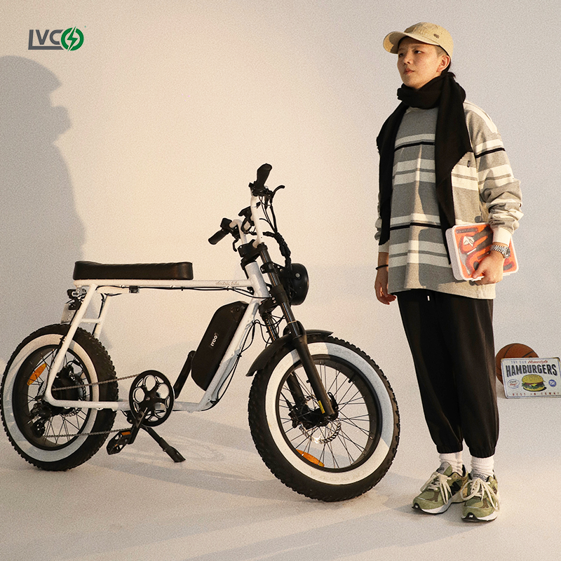 LVCO e bike mountain e-bike electric bike for adults motor mountain ebike 1000w electric mountain bike