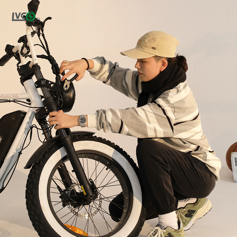LVCO e bike mountain e-bike electric bike for adults motor mountain ebike 1000w electric mountain bike