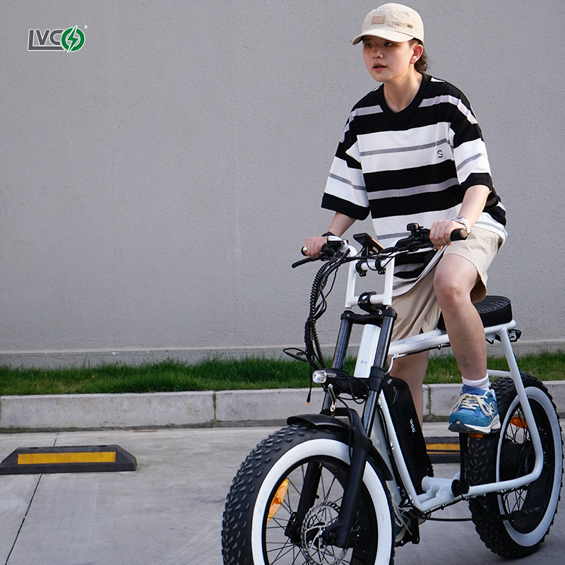 LVCO e bike mountain e-bike electric bike for adults motor mountain ebike 1000w electric mountain bike