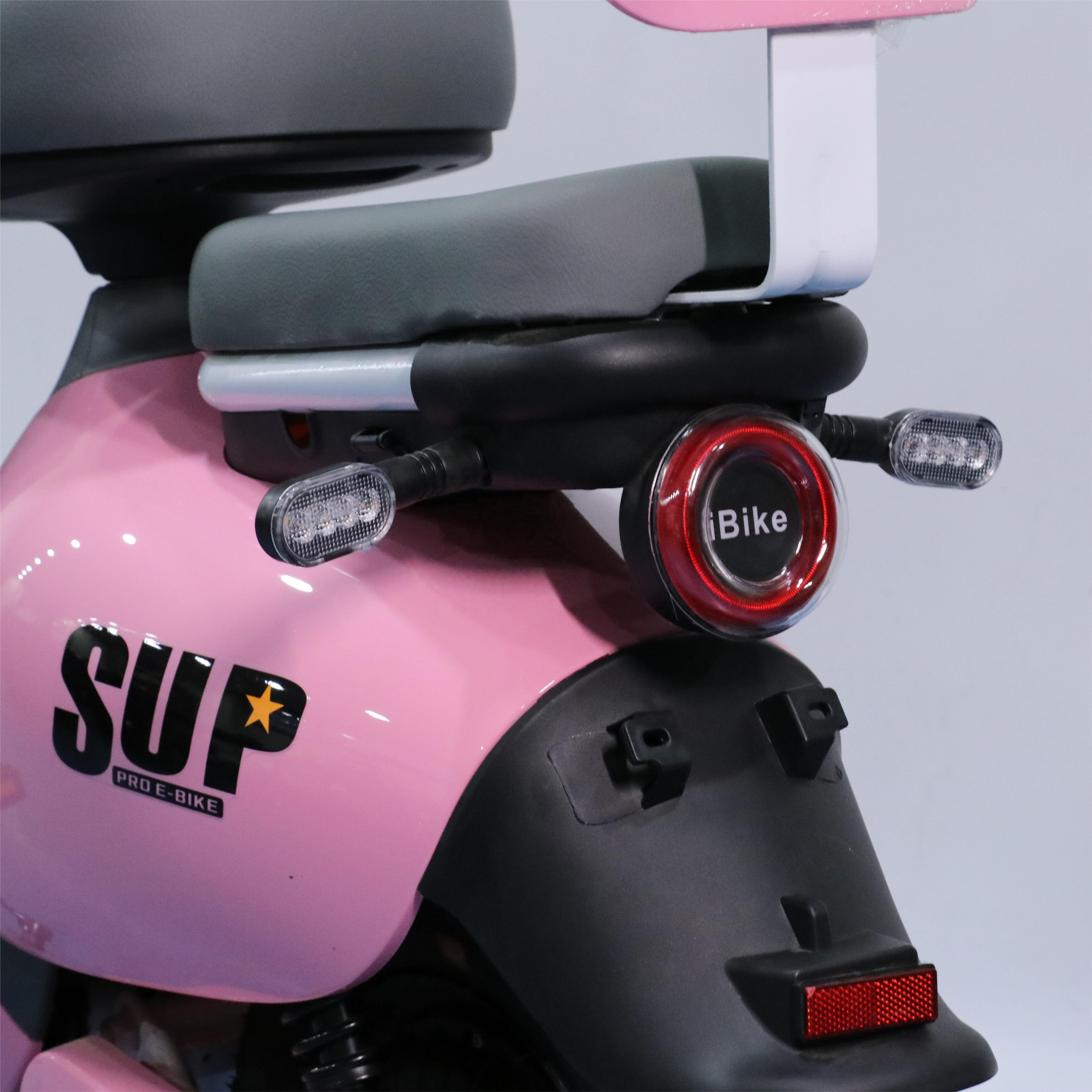 Motorcycle Style Electric Bicycle High Power 1000W city bike Sale 350w 48v 12a Bicicleta Electric Electric Bicycle