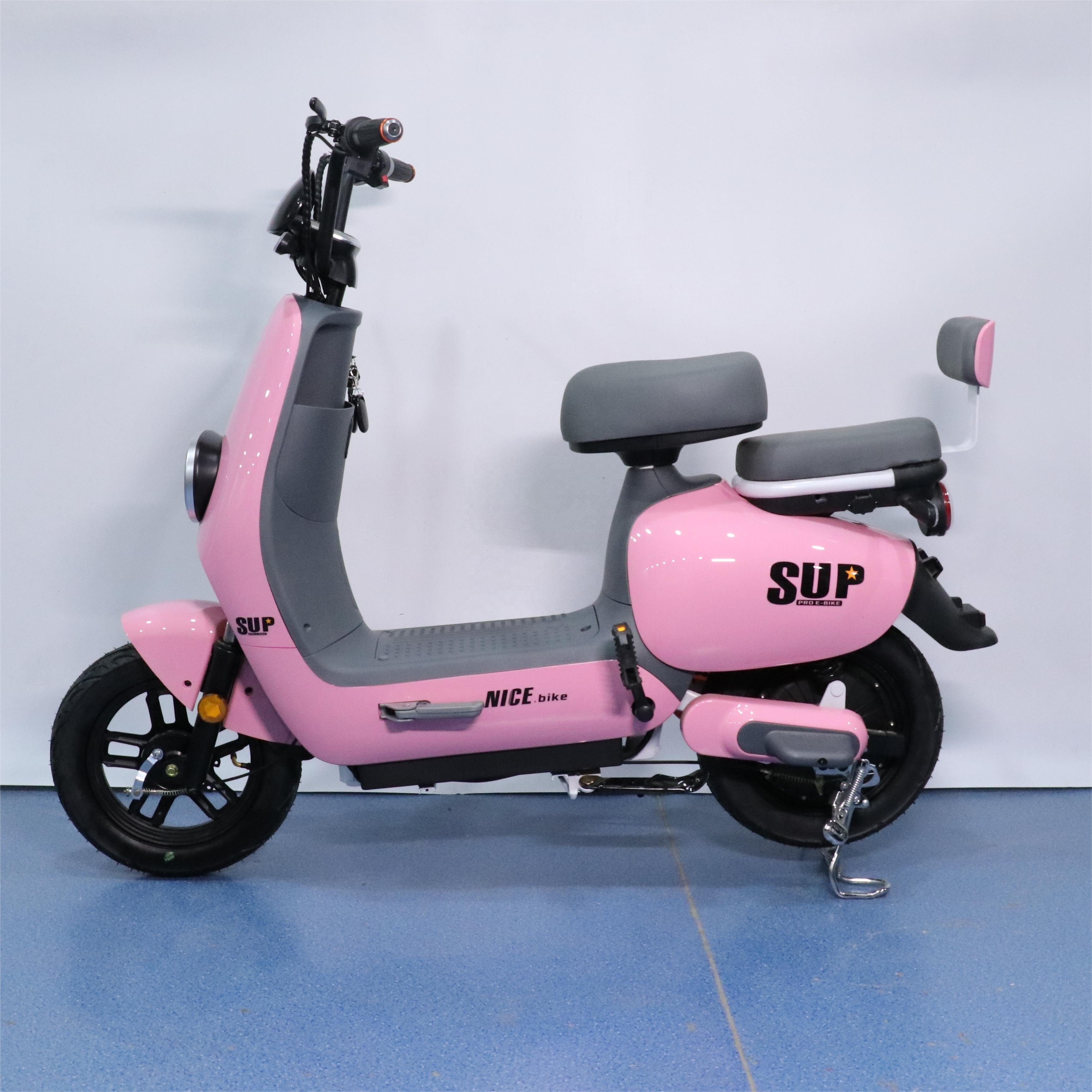 Motorcycle Style Electric Bicycle High Power 1000W city bike Sale 350w 48v 12a Bicicleta Electric Electric Bicycle
