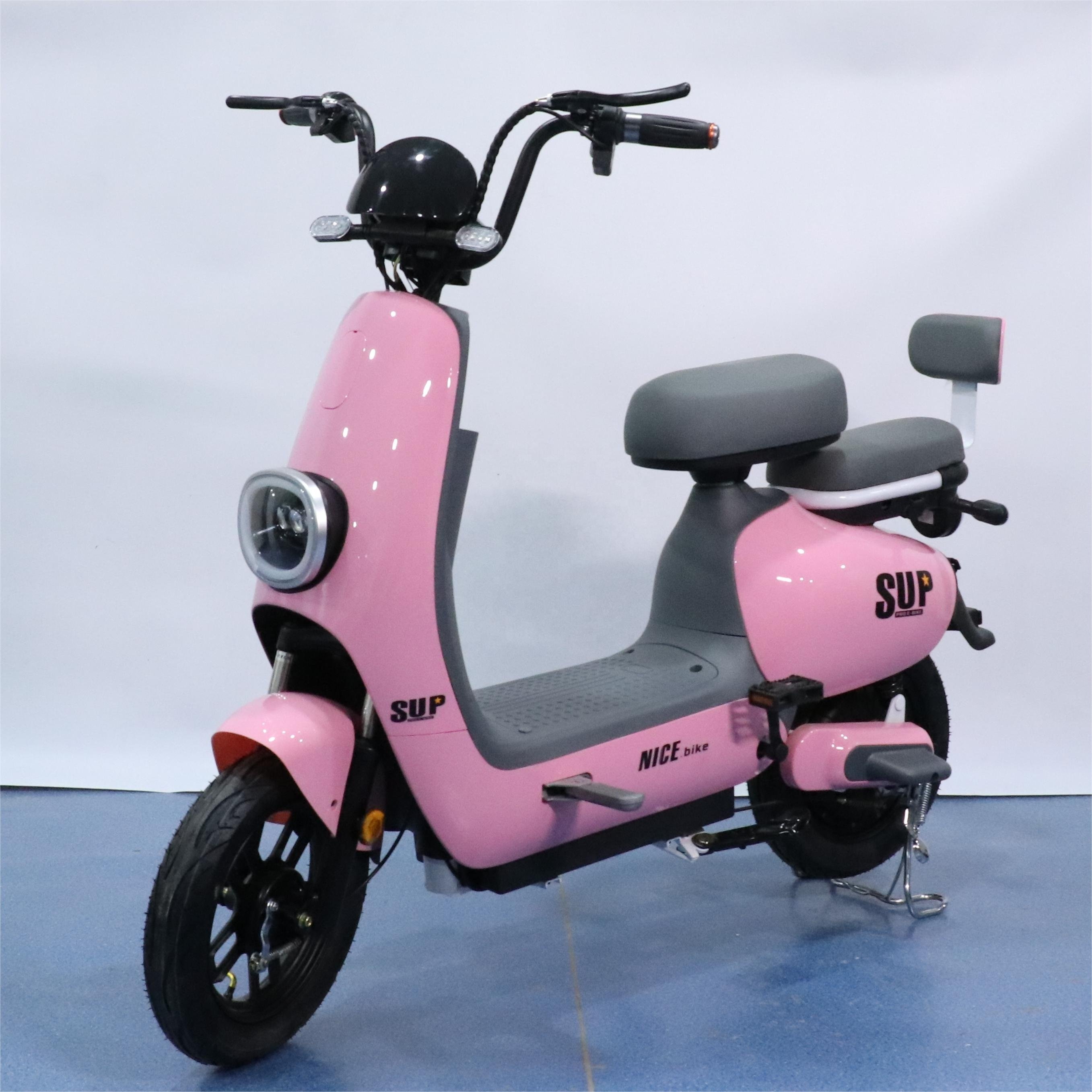 Motorcycle Style Electric Bicycle High Power 1000W city bike Sale 350w 48v 12a Bicicleta Electric Electric Bicycle