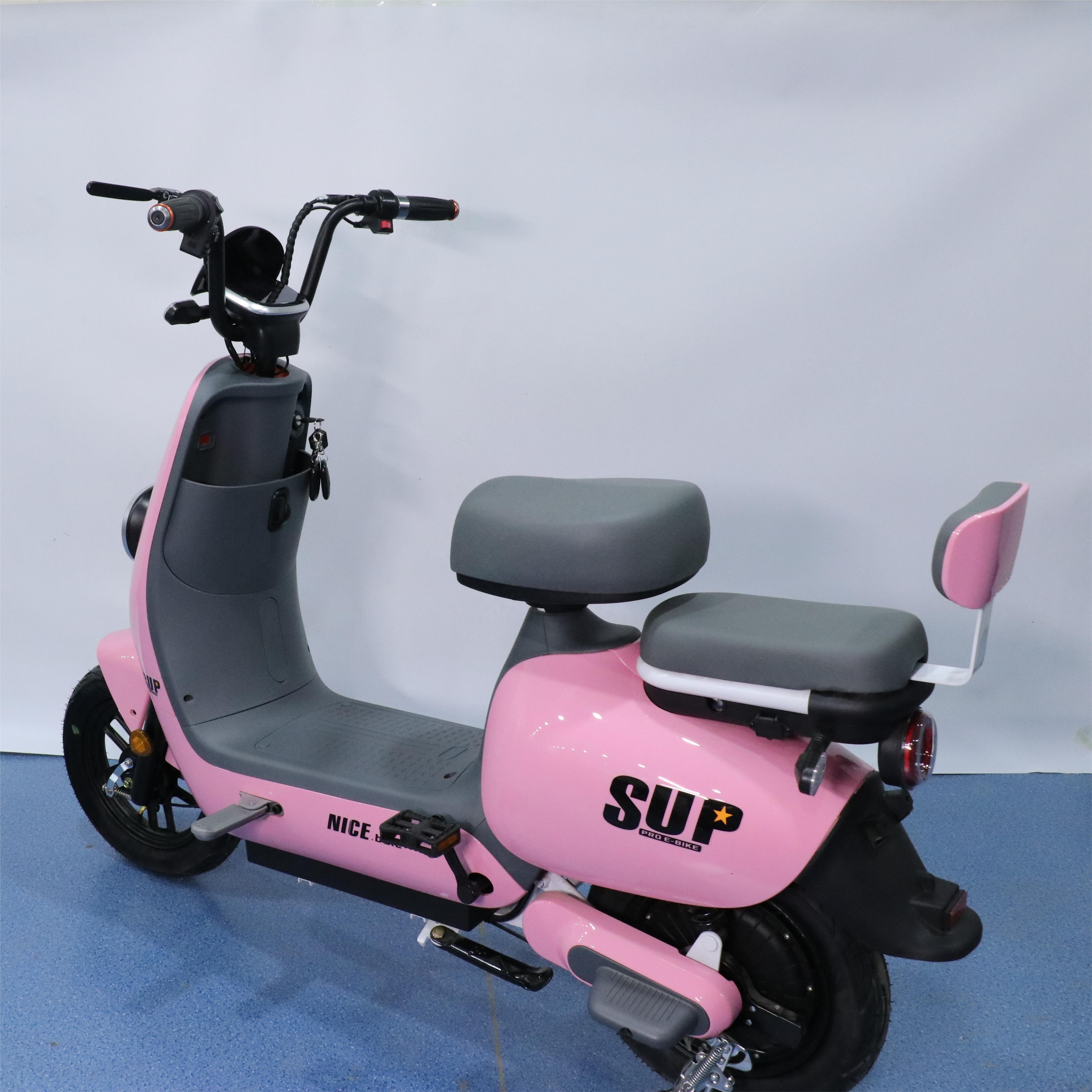 Motorcycle Style Electric Bicycle High Power 1000W city bike Sale 350w 48v 12a Bicicleta Electric Electric Bicycle