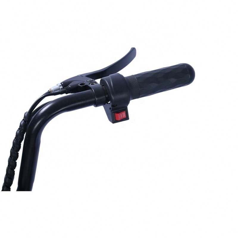 Electric city bike 14inch steel frame Lead Acid battery electric bicycle urban step through electric bike