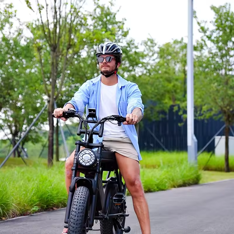 OUXI V8 Electric Fat Tire Bike 250W e-Bike 48V 20inch Tire 15ah Battery Capacity Steel Frame Original Electric Mountain Bike