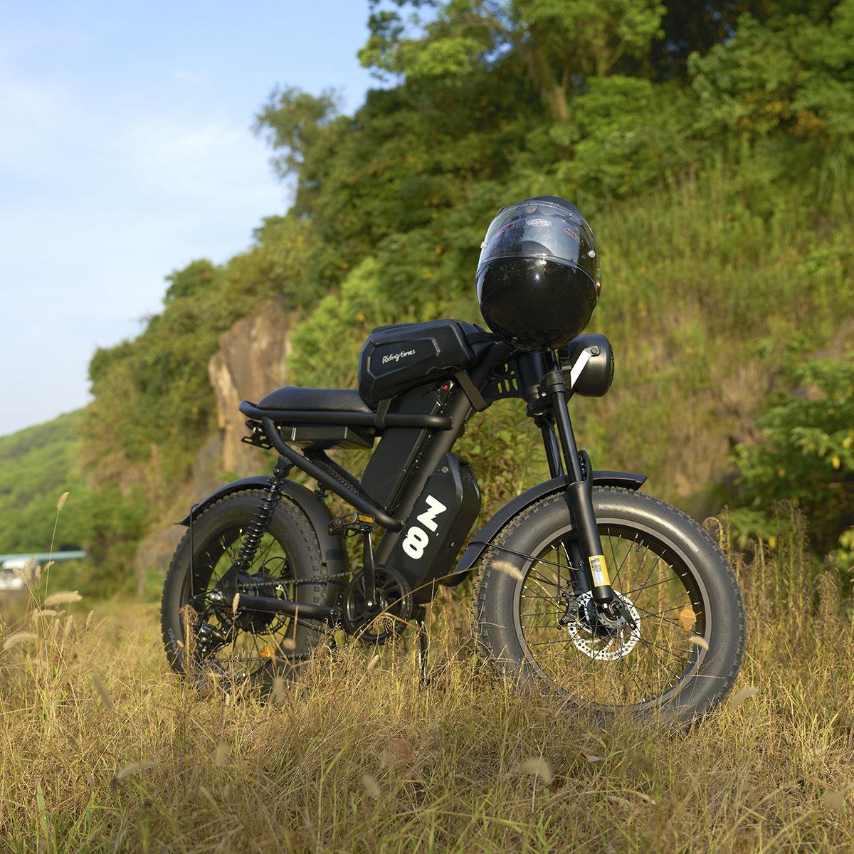 2024 New Arrival Electric Mountain Hybrid Road Bike Fat Tire other e-bike moped style electric bike