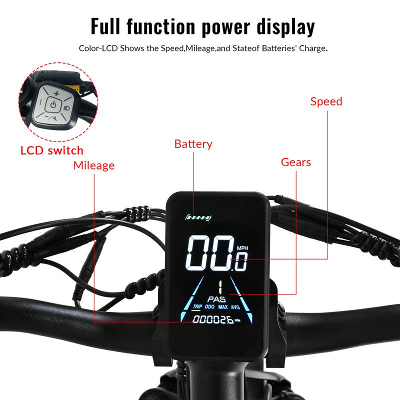 2024 48v 1000w*1000w Dual Motor E mtb Bike Dual Electric Mountain Bike 2000w