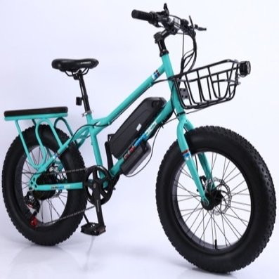 20 inch Fat Tire Electric mountain Bike 350W Variable 7 Speed Electric Bicycle 12ah Beach and Snow High Carbon Steel E Bike