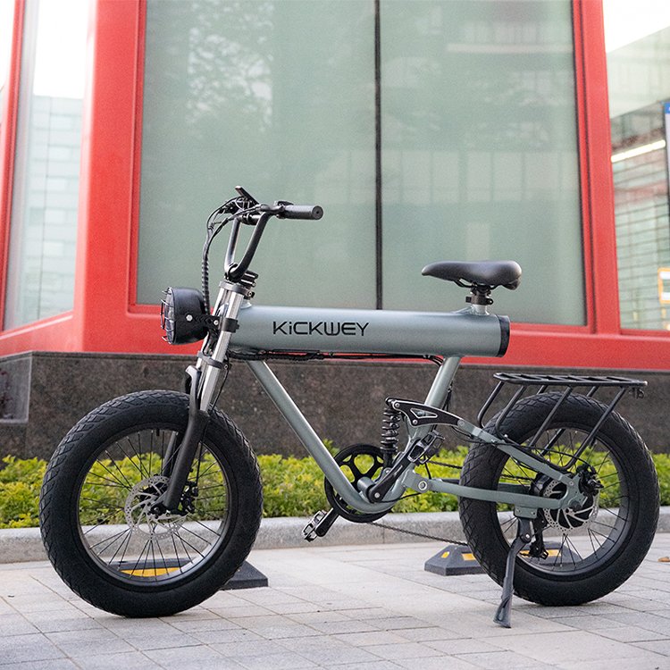 New Design 7 Speed Fat Tire 20 Inch 1000w 48v 10ah 15ah 20ah Electric Mountain Road E Bike