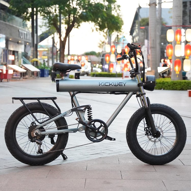 New Design 7 Speed Fat Tire 20 Inch 1000w 48v 10ah 15ah 20ah Electric Mountain Road E Bike