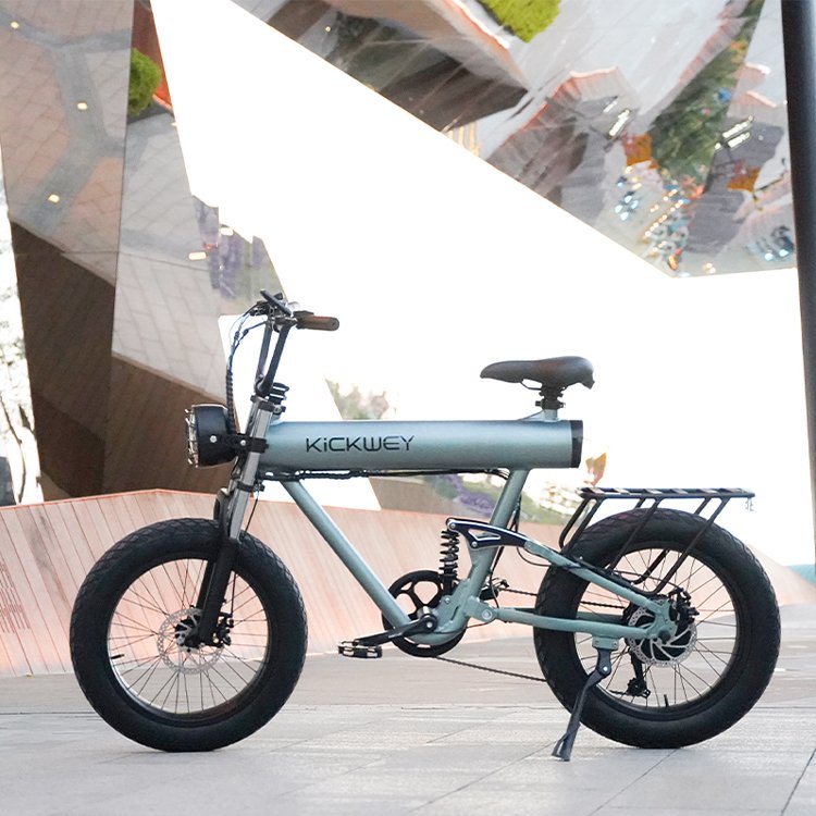 New Design 7 Speed Fat Tire 20 Inch 1000w 48v 10ah 15ah 20ah Electric Mountain Road E Bike