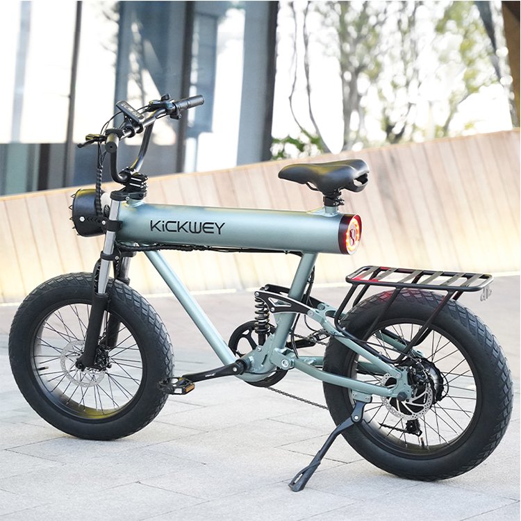 New Design 7 Speed Fat Tire 20 Inch 1000w 48v 10ah 15ah 20ah Electric Mountain Road E Bike
