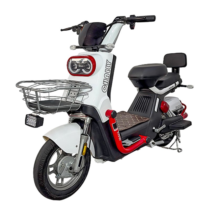 High Quality Modern City Electric Bike Moped 350W 48V 12Ah with down Tube Lithium Battery Digital Display Electric City Bike